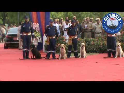 Delhi Police Dog Squad | Najeeb Jang | ALL RIGHTS MAGAZINE | Part2