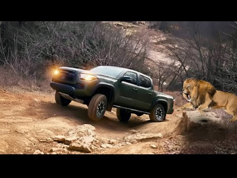 Offroad Truck Simulator | 6x6 OffroadJeep Drive - Android Gameplay