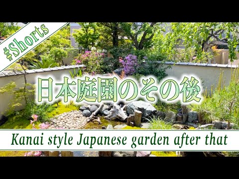 jardin-paysager-graminées-pelouse-passage-bois-dalles-pierre