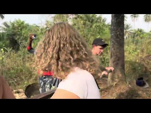 4. Red Palm Oil Craft & Pineapple Harvest