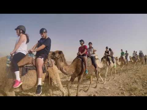 Shorashim Birthright May 2016