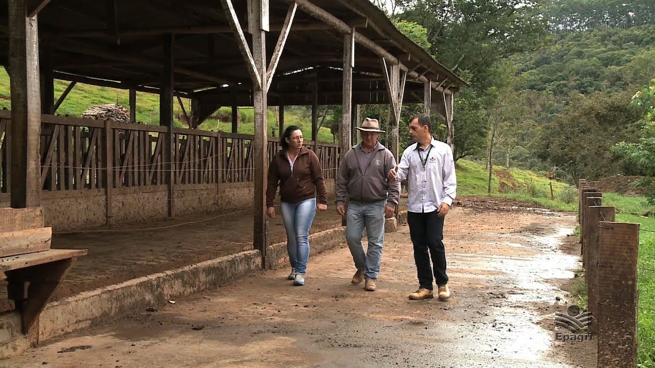 Produção de leite em Concórdia