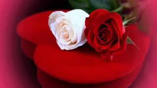 Devastado Espinosa Paz