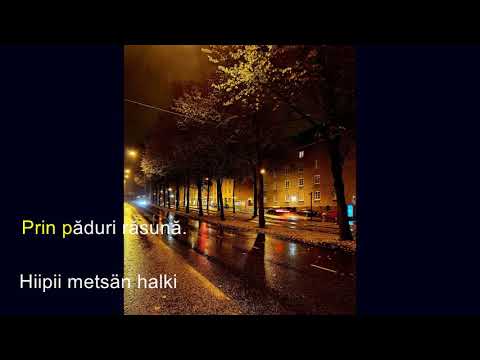 Zdob si Zdub x Irina Rimes - Sanziene Suomeksi