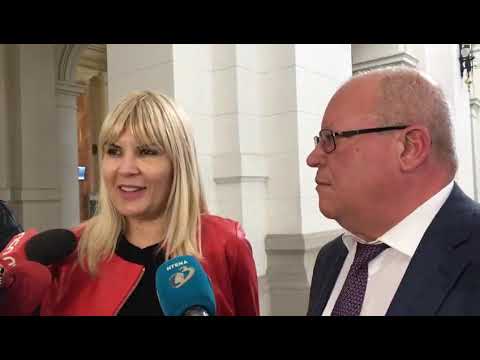 Mediafax 07 Octombrie - Udrea, despre cauza Hidroelectrica:Speranța mea este că vor închide dosarul