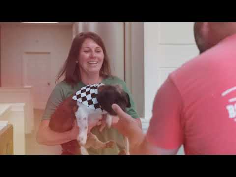 Happy Tails Boarding, Grooming, & Training  Cullman, AL  