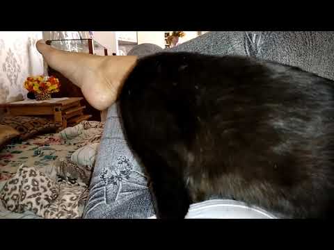 Massagem Abdominal Especial