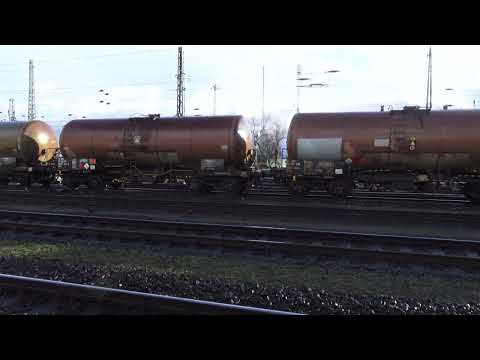 609 003 Floyd Sulzer