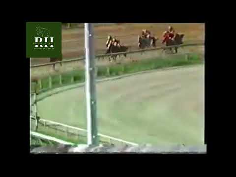 La yegua CRISTALERA  le gana a REAL STRESS que se paro en los 100 metros finales.