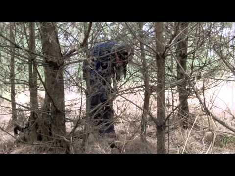 download lagu mp3 mp4 Knert, download lagu Knert gratis, unduh video klip Knert