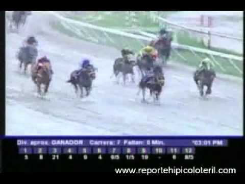 Resumen Sábado 19 de Noviembre de 2011 - La Rinconada