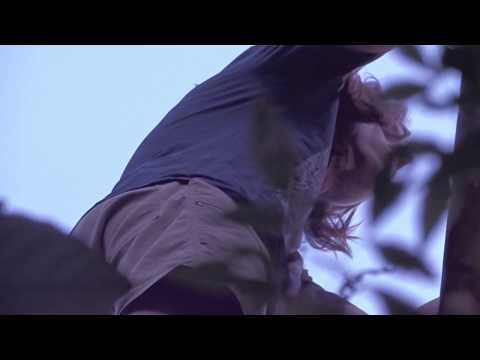 Colder - Diabo Verde (Oficial)