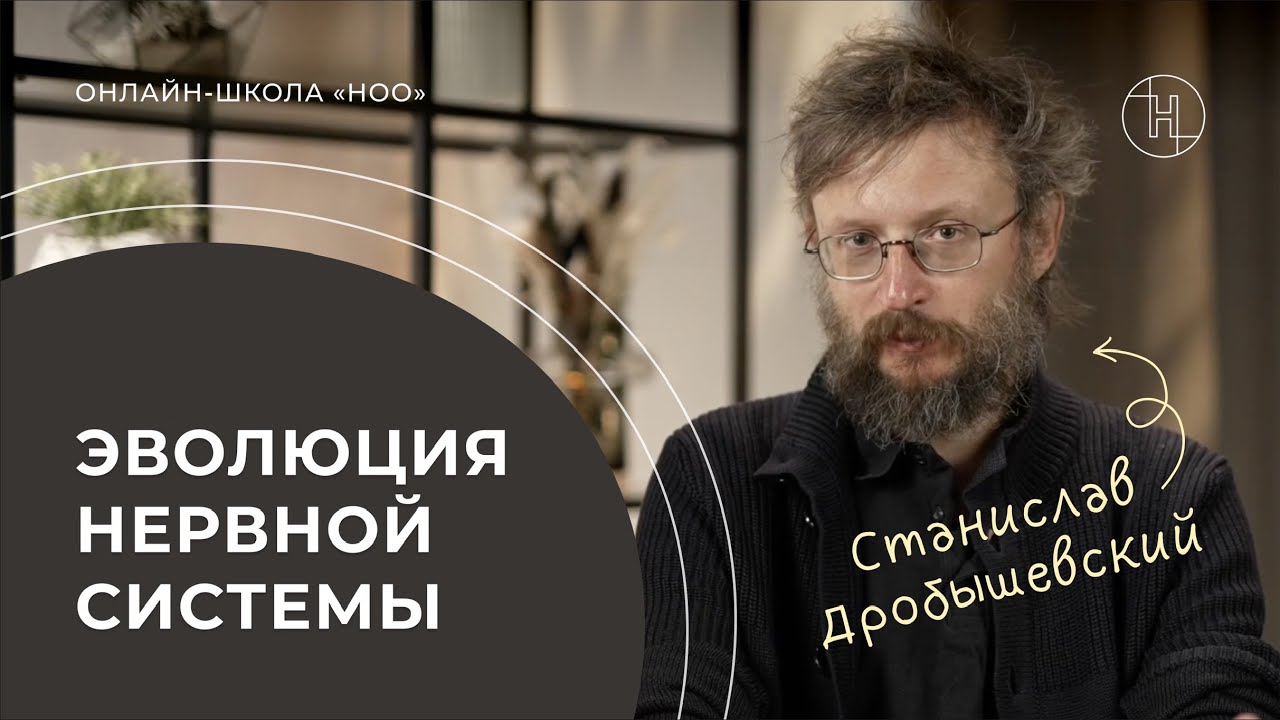 ГРУЗ ПРОШЛОГО В МОЗГЕ ЧЕЛОВЕКА | Дробышевский об эволюции нервной системы | НОО