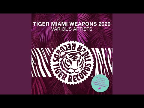 Party in Miami (Andrey Exx Remix)