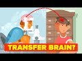 Why Can't We Transplant Brains?