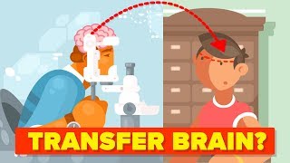 Why Can&#39;t We Transplant Brains?