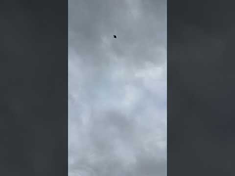 ἀποκάλυψις apokálypsis (8th installment