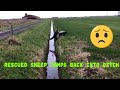 Rescued Sheep Jumps Back Into Ditch Shorts
