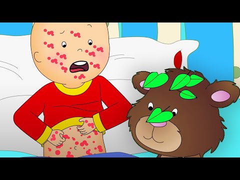 Caillou e a Hera Venenosa | Caillou em Português - WildBrain
