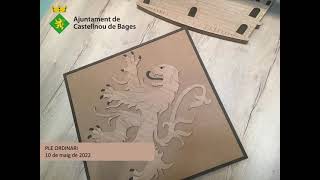 Ple ordinari 10 maig 2022