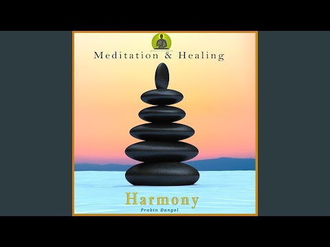 Let Go of All Negative Energy