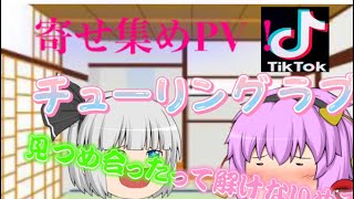 TikTokて使われている有名な曲を寄せ集めた？曲のPV作ってみた！(下手くそ編集)