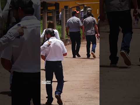 Pecuária produtiva e tecnológica tem Tortuga® | Noticiário Tortuga