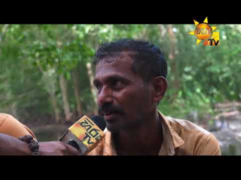 Hiru TV