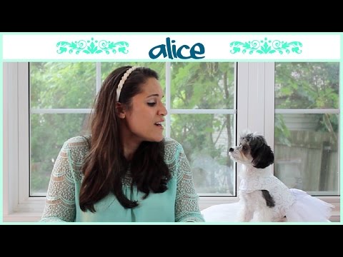 Bianca Ryan feat. Chloe Lukasiak - Alice (Official Cover) - Gina Naomi Baez & Tinkerbelle the Dog