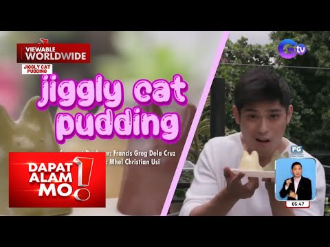 Trending na jiggly cat pudding sa Japan at Korea, matitikman na rin sa Makati! Dapat Alam Mo!