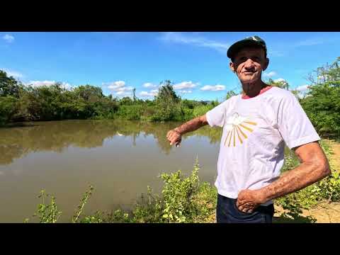 Chácara 9,5 ha à Venda em Vila Boa GO | Represa Permanente | R$ 200 Mil