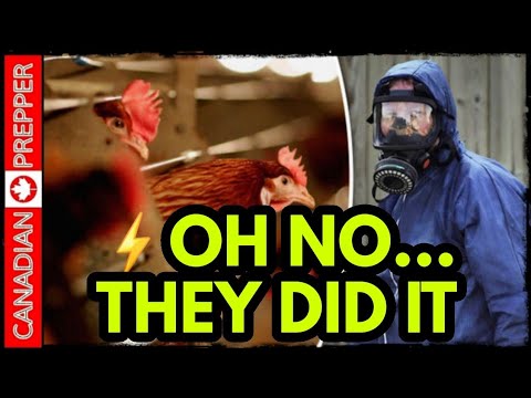 Major Alert: Oh No... They Did It!! New Bird Flu With 100% Kill Rate! Mysterious Origin! Lebanon War Begins! Putin Checkmates USA! - Canadian Prepper