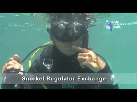 2014 PADI Divemaster Skills - Snorkel Regulator Exchange