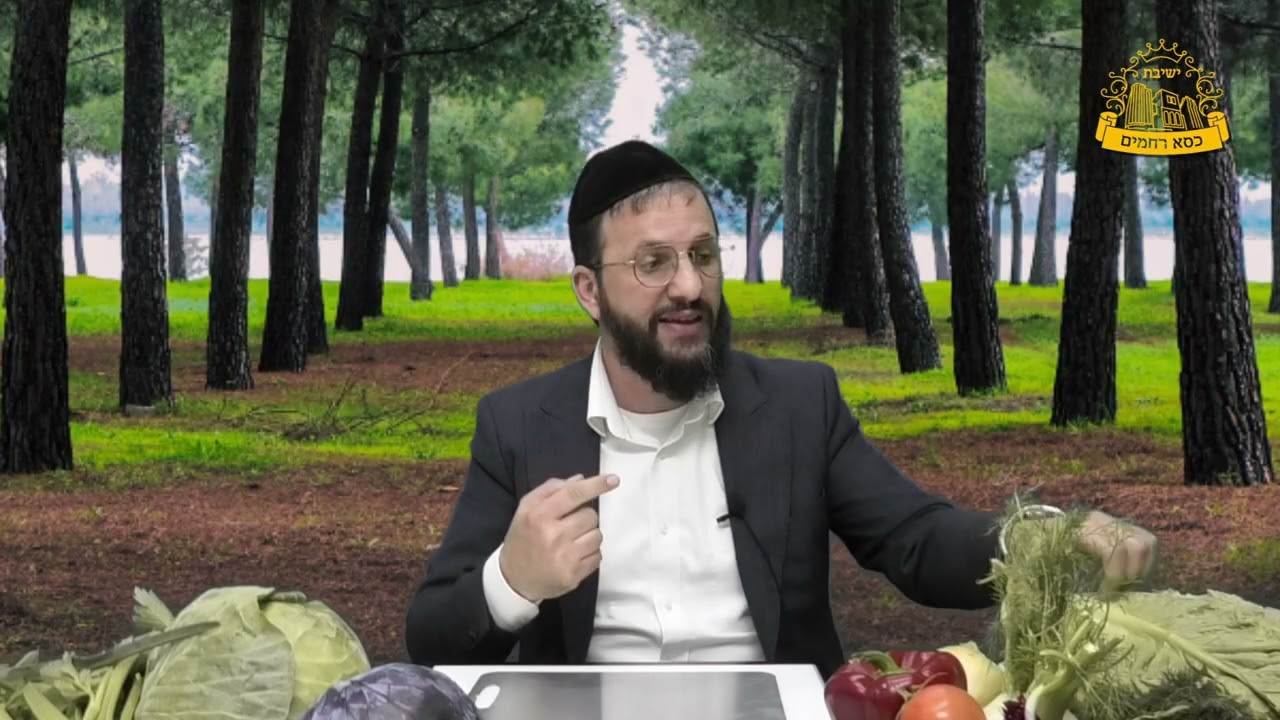 איך הסתדרו אבותינו בלי גידול מיוחד? מציאות הירק: אז מול היום | כשרות למהדרין | ?