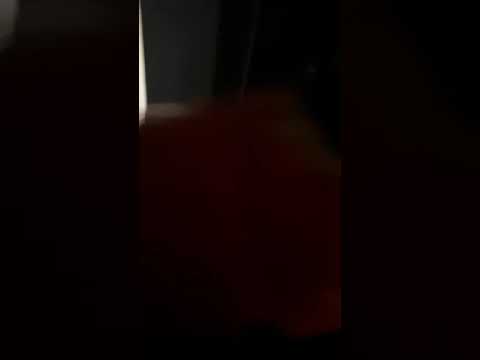 new characters for the sequel. (Devastator)