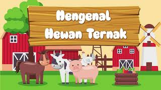 Download lagu Belajar Mengenal Nama dan Suara Hewan Ternak | Suara Binatang Ternak Animasi mp3 Download lagu Belajar Mengenal Nama dan Suara Hewan Ternak | Suara Binatang Ternak Animasi mp3