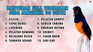 Download lagu 🔴 FULL TEMBAKAN MASTERAN MURAI BATU GACOR JEDA JANGKRIK 30 DETIK || 25 mp3 Download lagu 🔴 FULL TEMBAKAN MASTERAN MURAI BATU GACOR JEDA JANGKRIK 30 DETIK || 25 mp3