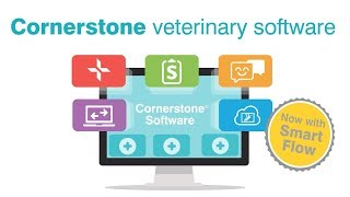 Vidéo de Cornerstone Software