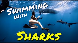 Swimming With Sharks in Oahu, Hawaii