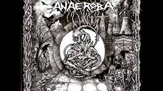 Anaeroba - The New Generation -(Nausea cover)