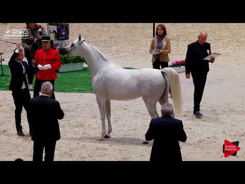 N.54 FER LISALINE - Paris 2017 - Senior Mares (Class CM3A)