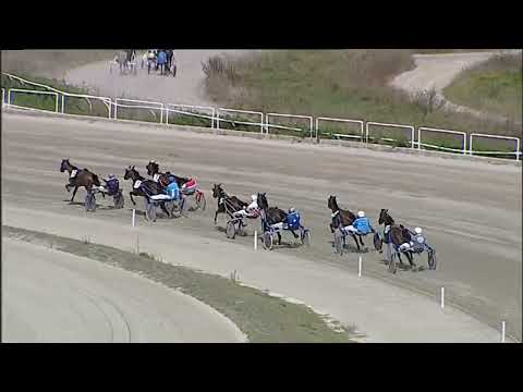 Napoli Trotto 05/09/2023 - 1ª prova di qualifica