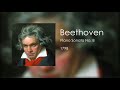 2. Piano Sonata no.8 in C Minor ‘Pathetique’ (1st Movement) - Beethoven