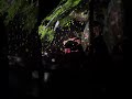 Black Moth Super Rainbow - Dreamsicle Bomb (Encore) - The Masquerade - 10/11/25