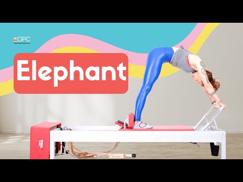 Elephant on the Reformer | Online Pilates Classes
