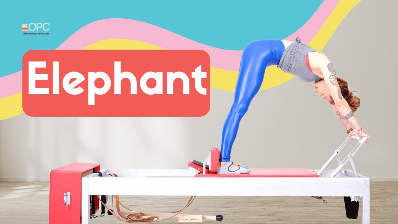 Elephant on the Reformer | Online Pilates Classes