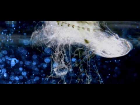 IV71 - Arian 911 - 7 Melodies - Secret Weapons Part 9