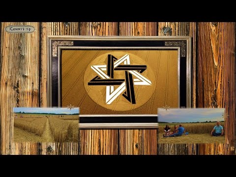 Kornkreis bei Alling in Biburg / Bayern am 26. 7. 2015 - Krypto.TV