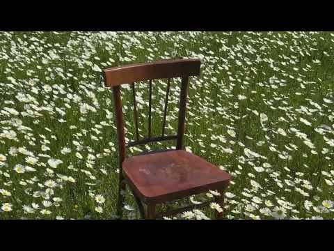 Cartapesta - imitati benissimo (Visual)