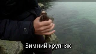 Зимняя рыбалка с берега на черном море